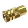 Pneumatic Hose Coupling: 1/4" Thread, 1/4" Body Dia, Industrial Interchange