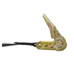 Polyester Ratchet Strap Tie Down: 10' Long, 1