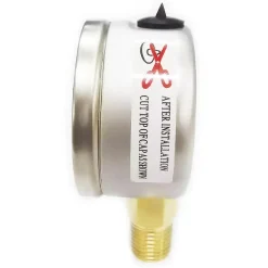 Pressure Gauge: 2" Dial, 60 psi, 1/4" Thread, NPT, Lower Mount
