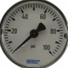 Pressure Gauge: 2" Dial, 1/4" Thread, NPT, Center Back Mount