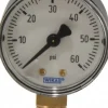 Pressure Gauge: 2" Dial, 1/4" Thread, NPT, Lower Mount