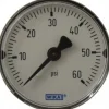 Pressure Gauge: 2" Dial, 1/4" Thread, NPT, Center Back Mount