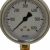 Pressure Gauge: 2-1/2" Dial, 0 to 600 psi, 1/4" Thread, NPT, Lower Mount