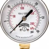 Pressure Gauge: 2-1/2" Dial, 0 to 30 psi, 1/4" Thread, NPT, Lower Mount