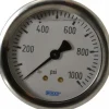 Pressure Gauge: 2-1/2" Dial, 0 to 1,000 psi, 1/4" Thread, NPT, Center Back Mount