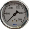 Pressure Gauge: 2-1/2" Dial, 0 to 5,000 psi, 1/4" Thread, NPT, Center Back Mount