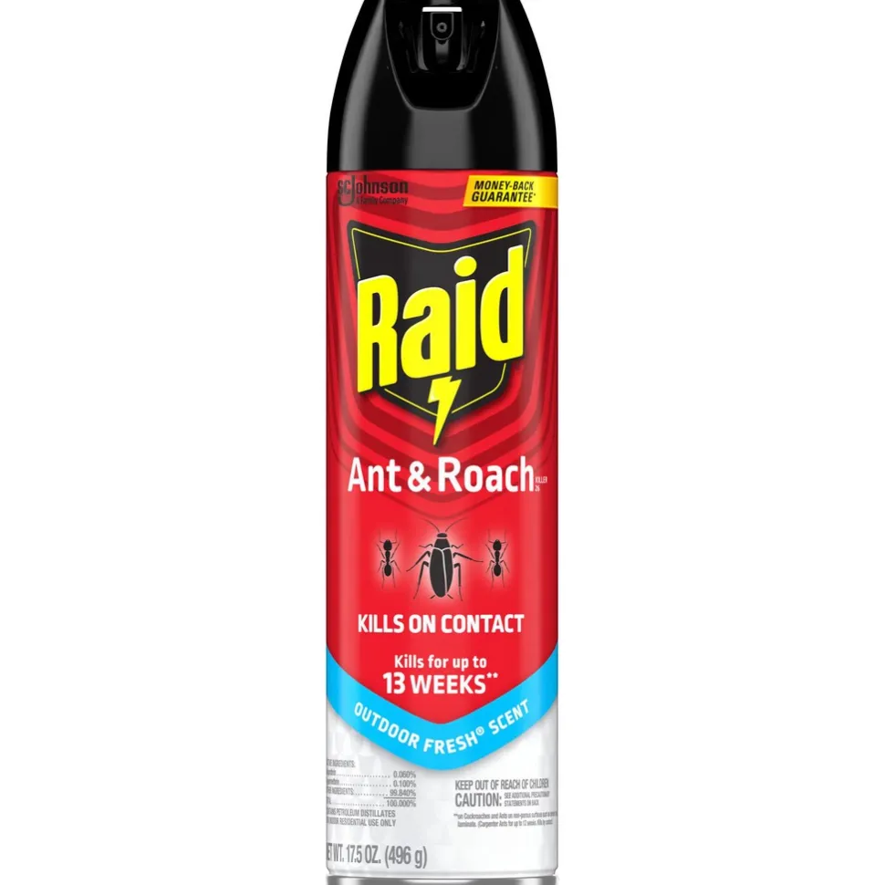 Raid Ant and Roach Killer Insecticide Aerosol Spray, Outdoor Fresh Scent, 17.5 oz