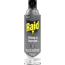Raid Wasp & Hornet Killer Insecticide Aerosol Spray, 14 oz