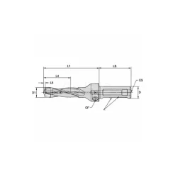 Replaceable-Tip Drill: 17.46 to 17.96 mm Dia, 90 mm Max Depth, 19.05 mm Weldon Flat Shank