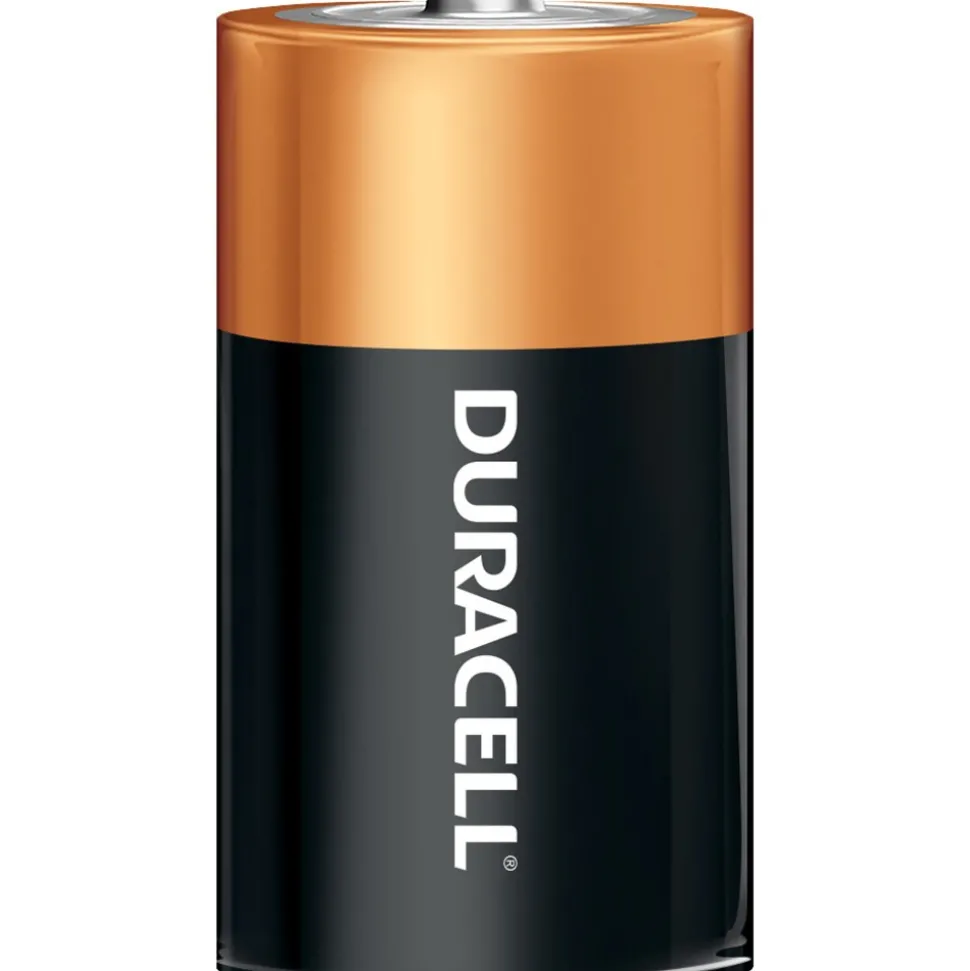 Standard Battery: Size D, Alkaline