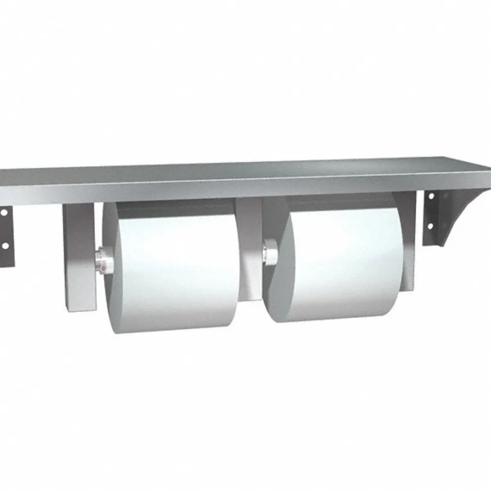 Standard Double Roll Stainless Steel Toilet Tissue Dispenser
