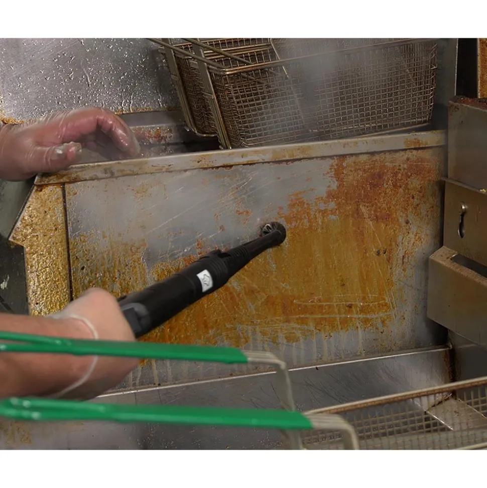 Steam Cleaners: Product Type: Commercial, Portable; Steam Type: Dry; Continuous Fill: No