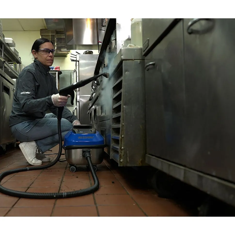 Steam Cleaners: Product Type: Commercial, Portable; Steam Type: Dry; Continuous Fill: No