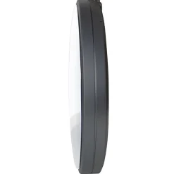 Synchronized Analog Wall Clock, IP Network, 17" Dia, 12-Hour, Arial Numeral, 48V DC