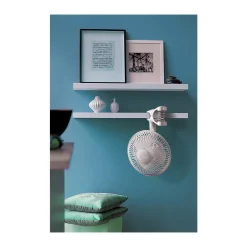 Table Fans: Fan Diameter: 6 in; Number Of Blades: 3; Number Of Speeds: 2