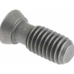 Torx® Screw for Indexables: T20 Torx®, M5 x 0.8 Thread