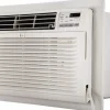 Window/Through-The-Wall (Cooling & Heating) Air Conditioner: 9800 BTU, 230V